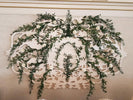 Cum construiești un photo corner floral elegant