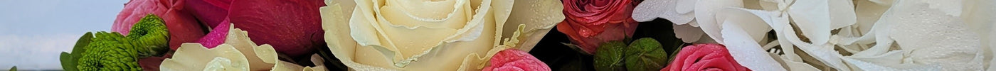 Cum influențează psihologia culorilor alegerea florilor