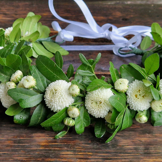 Coronita florala alb-verde