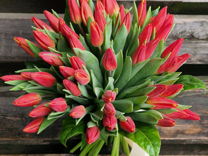 Buchet cu 49 lalele rosii