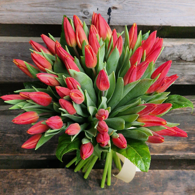 Buchet cu 49 lalele rosii