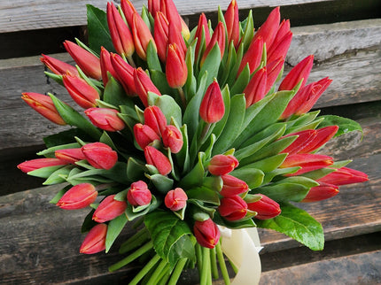 Buchet cu 49 lalele rosii
