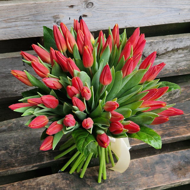 Buchet cu 49 lalele rosii