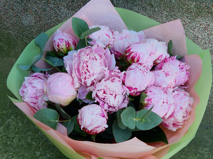 Buchet cu 13 bujori roz