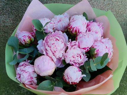 Buchet cu 13 bujori roz