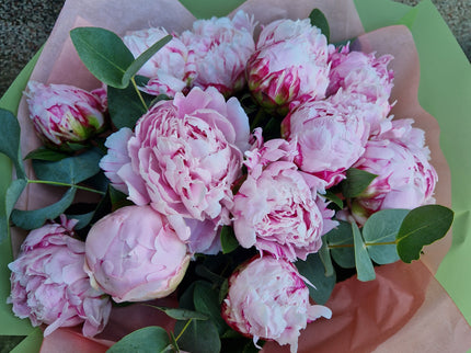 Buchet cu 13 bujori roz
