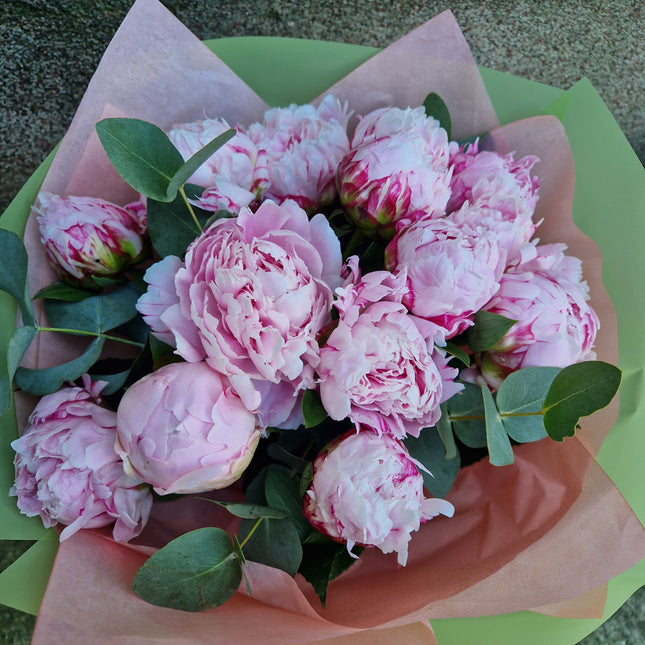Buchet cu 13 bujori roz