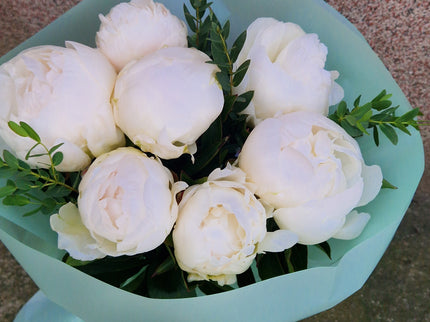 Buchet cu 7 bujori albi