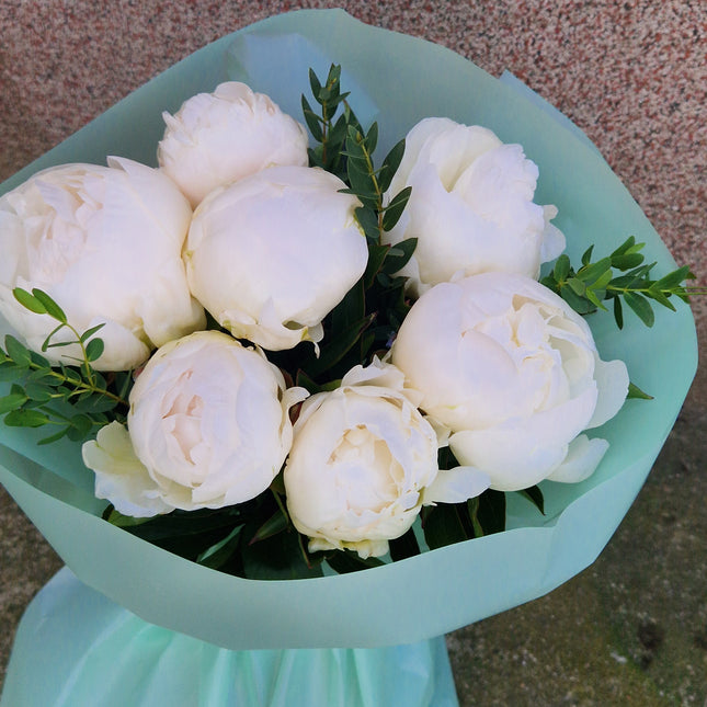 Buchet cu 7 bujori albi
