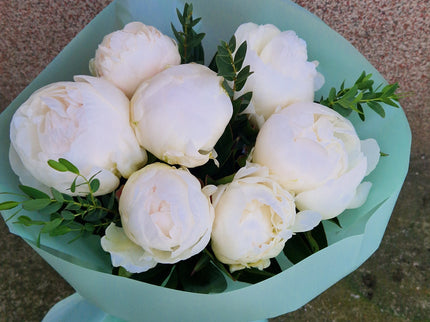 Buchet cu 7 bujori albi