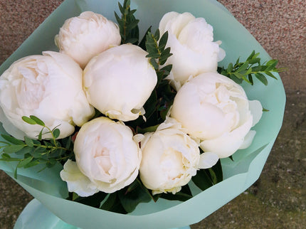 Buchet cu 7 bujori albi