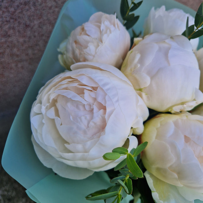 Buchet cu 7 bujori albi