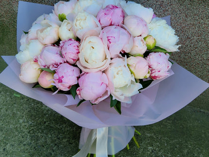 Buchet cu 35 bujori alb-roz