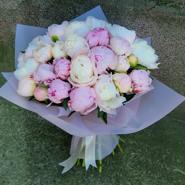 Buchet cu 35 bujori alb-roz