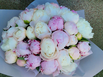 Buchet cu 35 bujori alb-roz