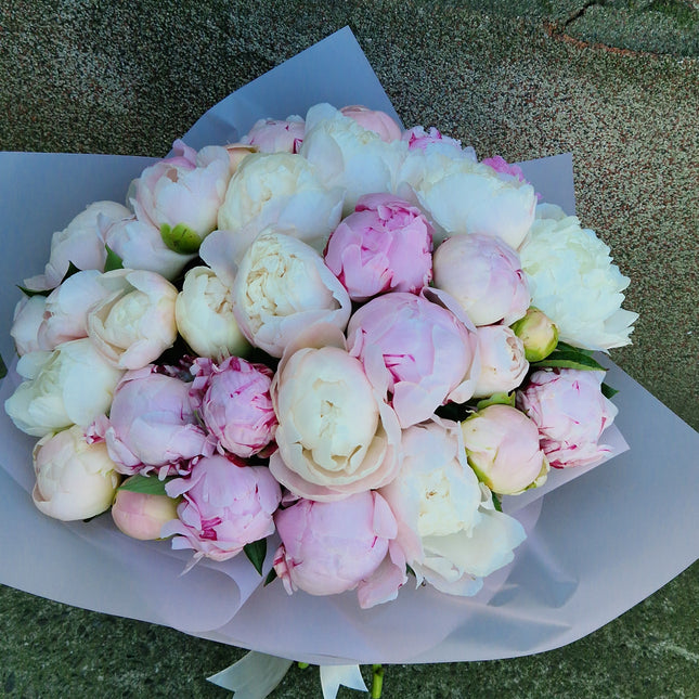 Buchet cu 35 bujori alb-roz