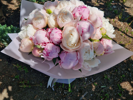 Buchet cu 35 bujori alb-roz
