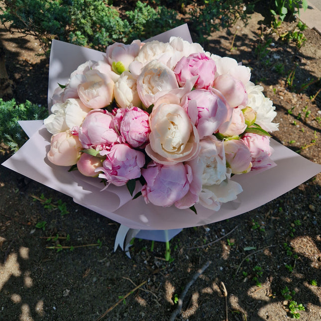 Buchet cu 35 bujori alb-roz