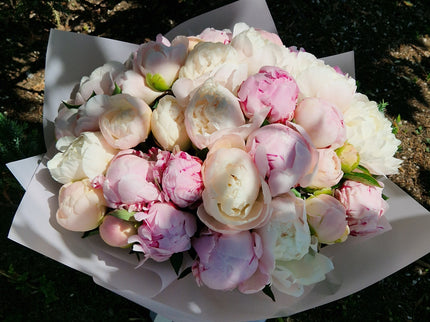 Buchet cu 35 bujori alb-roz