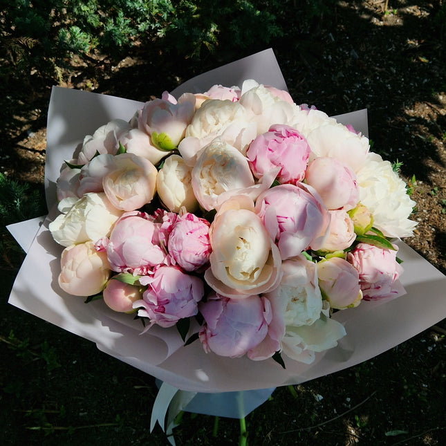 Buchet cu 35 bujori alb-roz