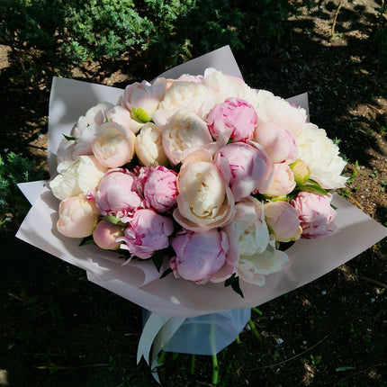 Buchet cu 35 bujori alb-roz