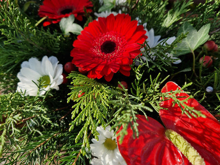 Aranjament funerar cu anturium si germini
