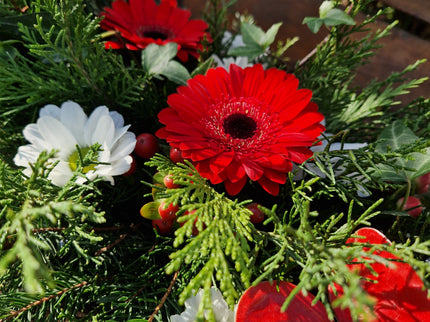Aranjament funerar cu anturium si germini