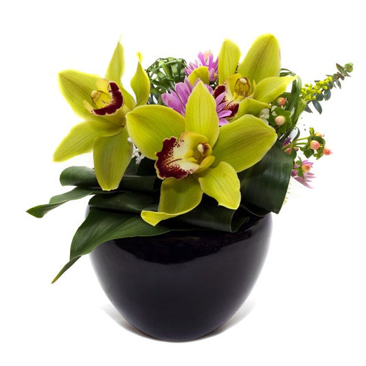 Aranjament cu cymbidium