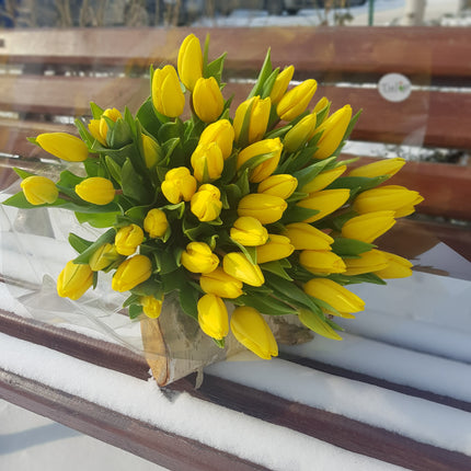 Collection image for: Proaspete & Accesibile