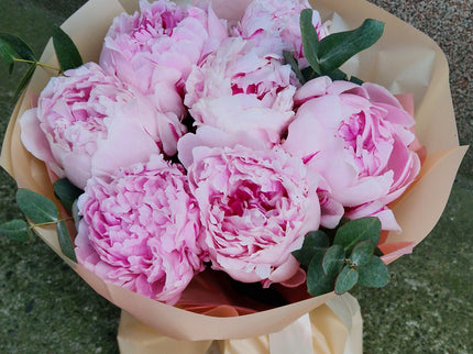 Buchet cu 7 bujori roz