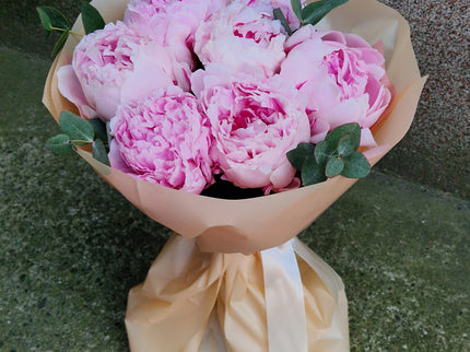 Buchet cu 7 bujori roz