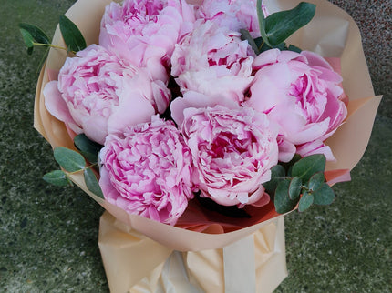 Buchet cu 7 bujori roz