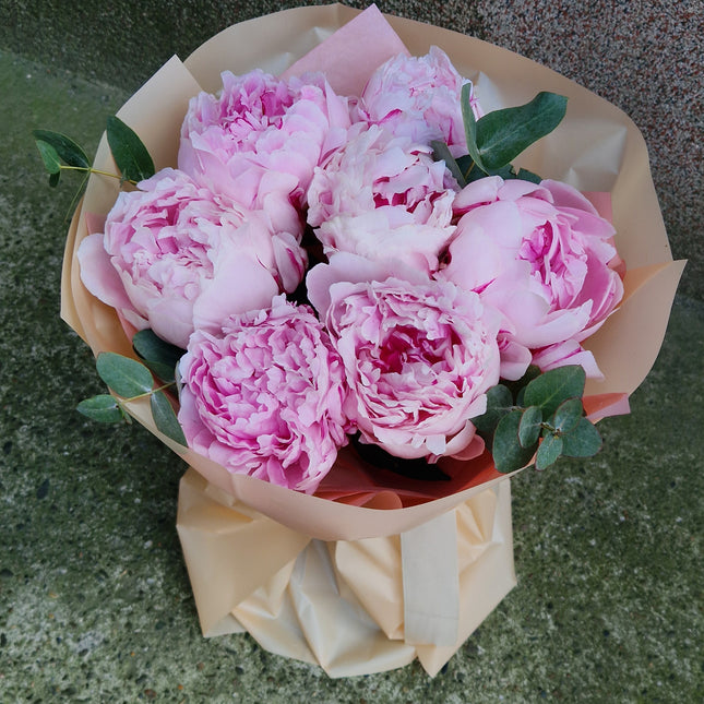 Buchet cu 7 bujori roz