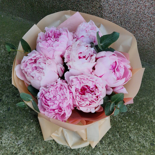 Buchet cu 7 bujori roz