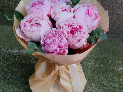 Buchet cu 7 bujori roz