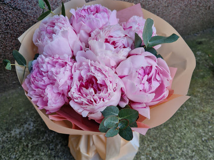 Buchet cu 7 bujori roz
