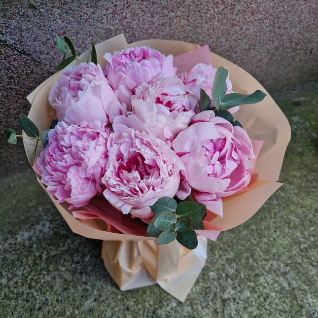 Buchet cu 7 bujori roz