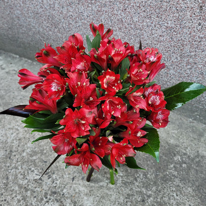 Buchet cu alstroemeria rosie