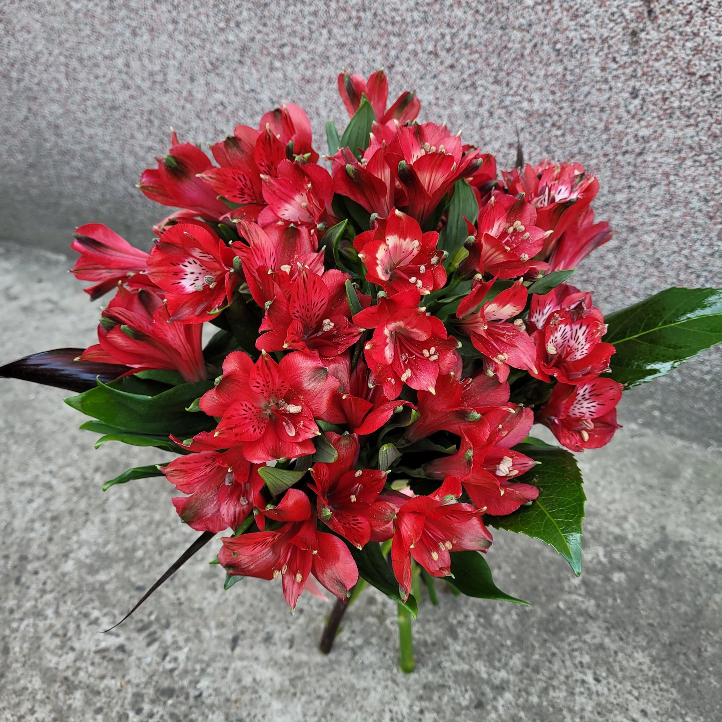 Buchet cu alstroemeria rosie