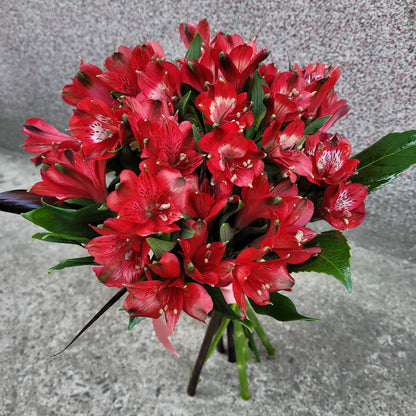 Buchet cu alstroemeria rosie