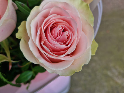 Buchet cu 7 trandafiri roz
