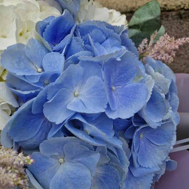 Buchet cu hortensii albe si blue