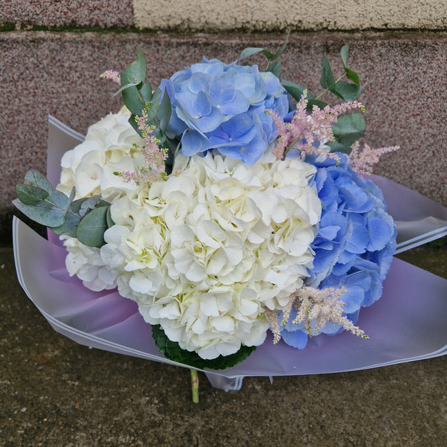 Buchet cu hortensii albe si blue
