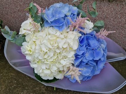 Buchet cu hortensii albe si blue