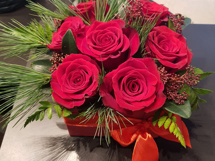 Cutie cu trandafiri rosii, pin si skimmia