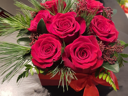 Cutie cu trandafiri rosii, pin si skimmia