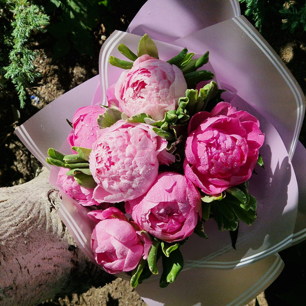 <h2><br/>Cadoul perfect nu dă greș niciodată!<br/><br/></h2>