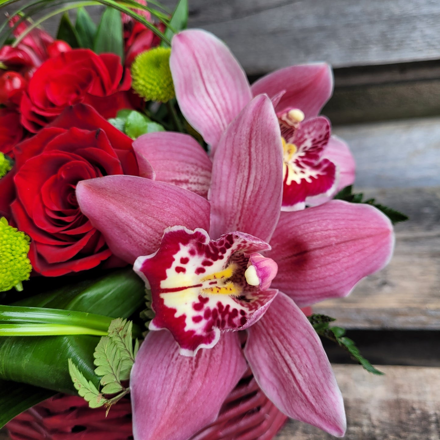 Trandafiri si cymbidium