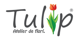 Tulip  - Atelier de flori