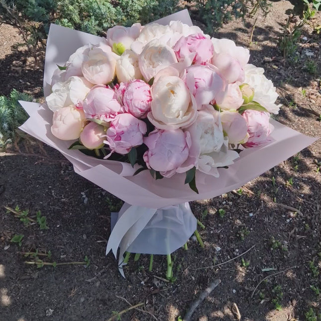 Buchet cu 35 bujori alb-roz